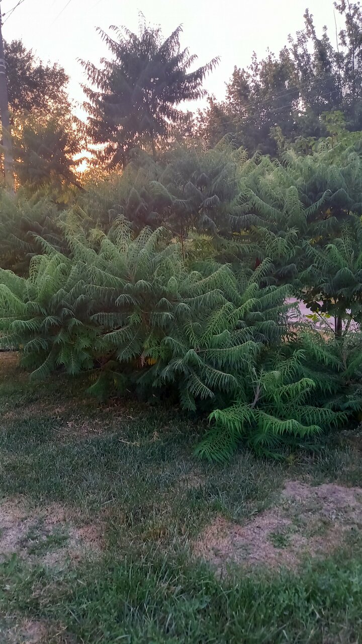 Гостиница Надежда Ростов-на-Дону-186