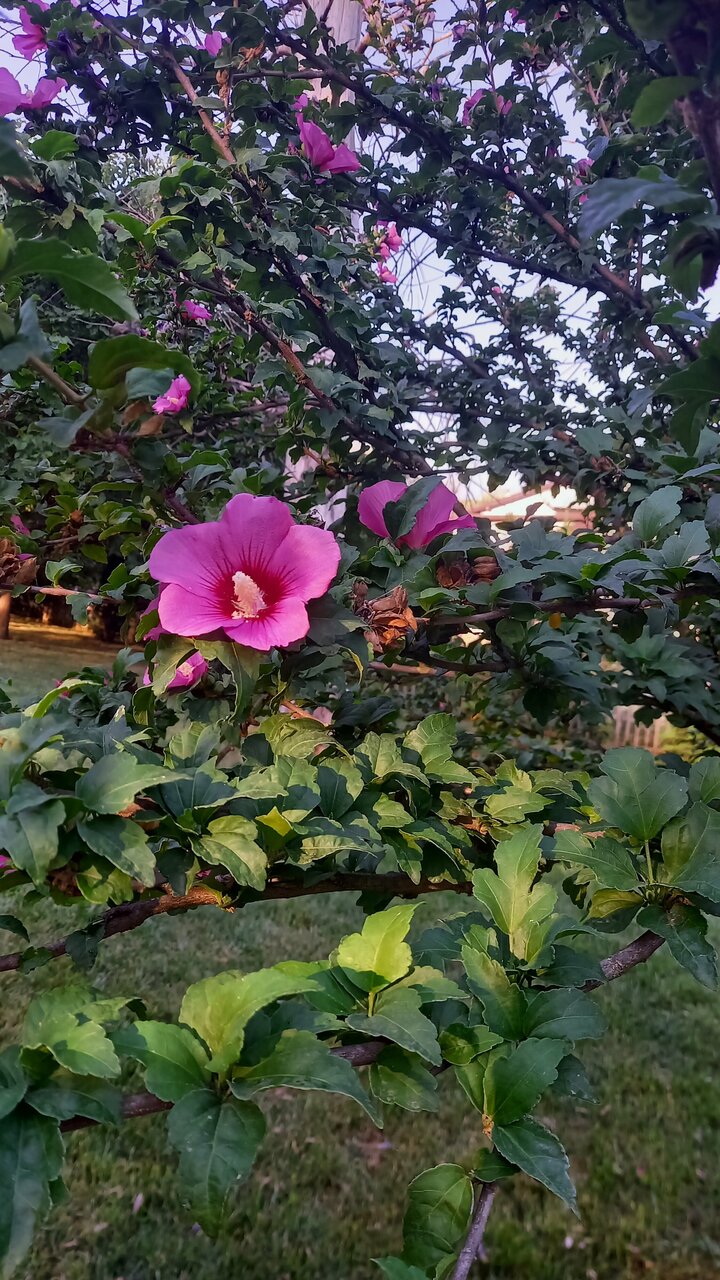 Гостиница Надежда Ростов-на-Дону-130