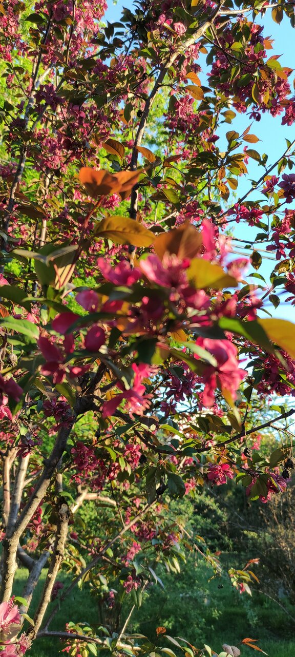 Гостиница Надежда Ростов-на-Дону-180