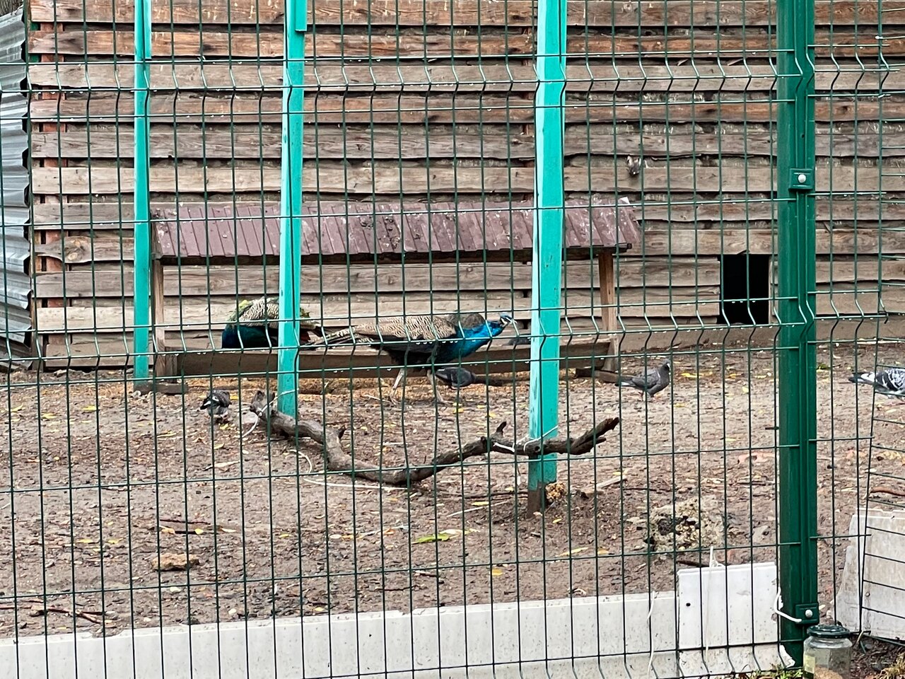 Гостиница Надежда Ростов-на-Дону-216