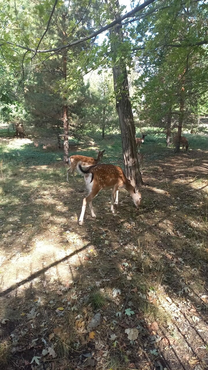 Гостиница Надежда Ростов-на-Дону-167