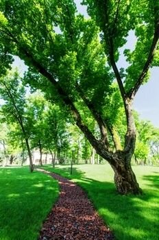 Гостиница Надежда Ростов-на-Дону-40