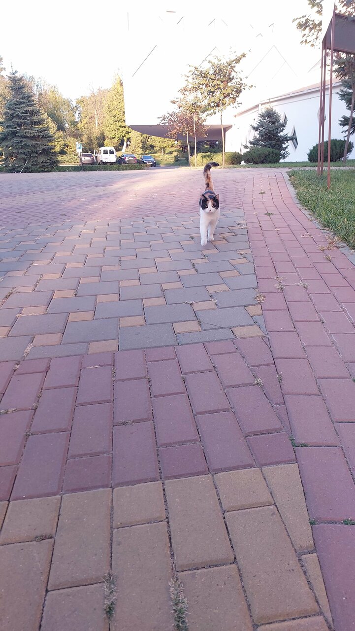 Гостиница Надежда Ростов-на-Дону-241