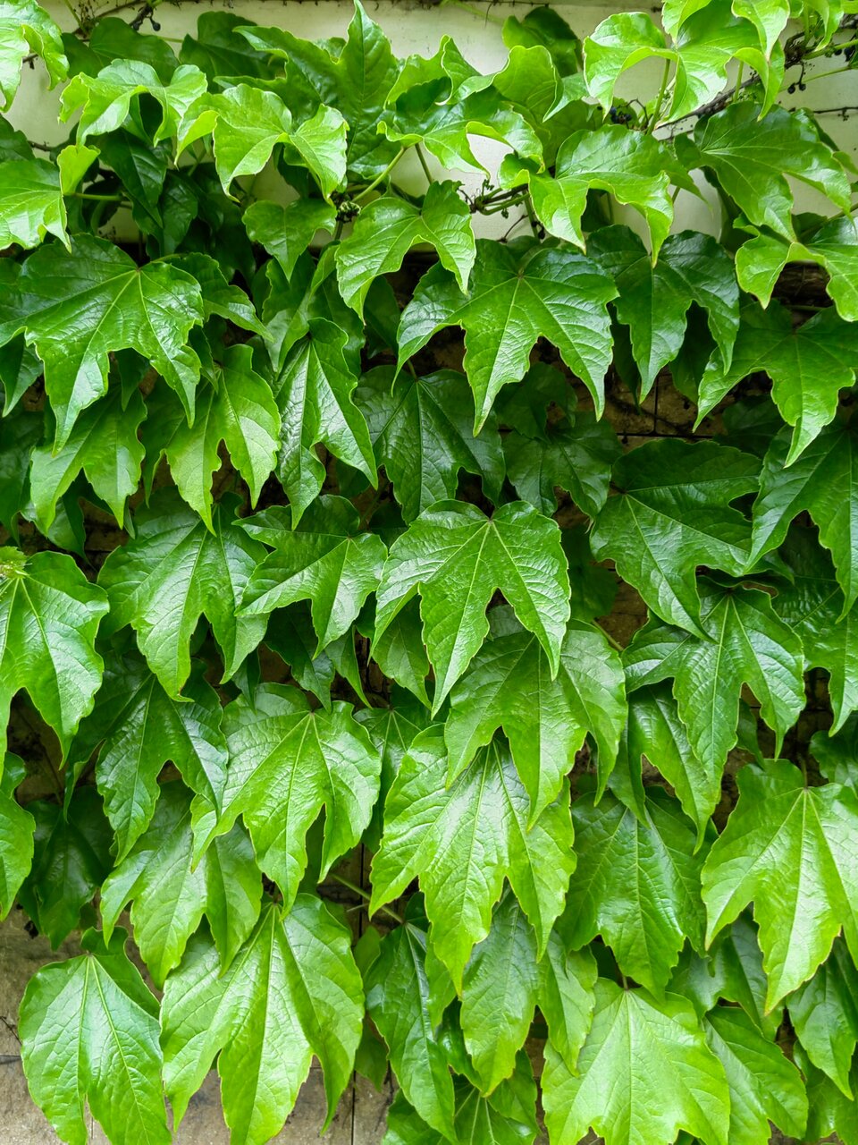 Гостиница Надежда Ростов-на-Дону-164