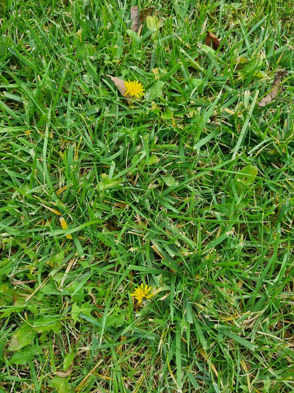 Гостиница Надежда Ростов-на-Дону-235