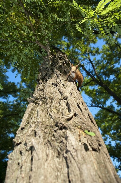 Гостиница Надежда Ростов-на-Дону-41