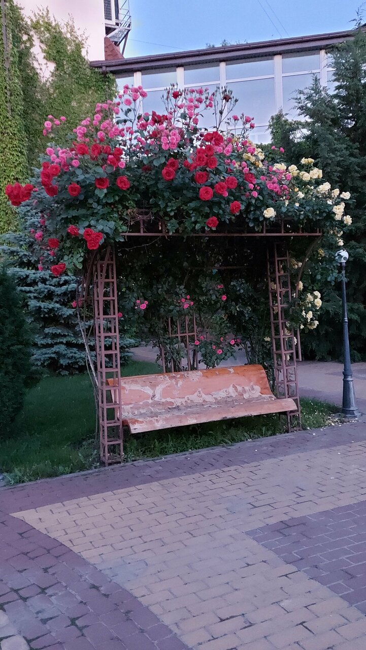 Гостиница Надежда Ростов-на-Дону-208