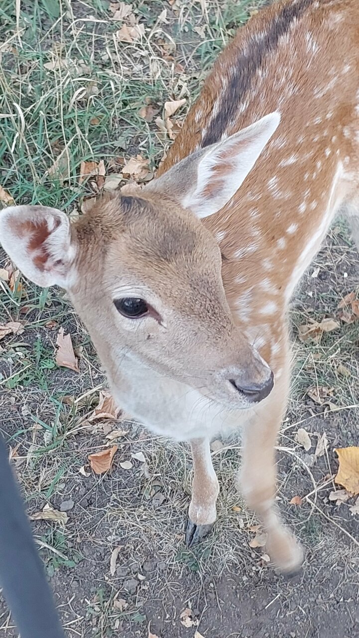 Гостиница Надежда Ростов-на-Дону-197