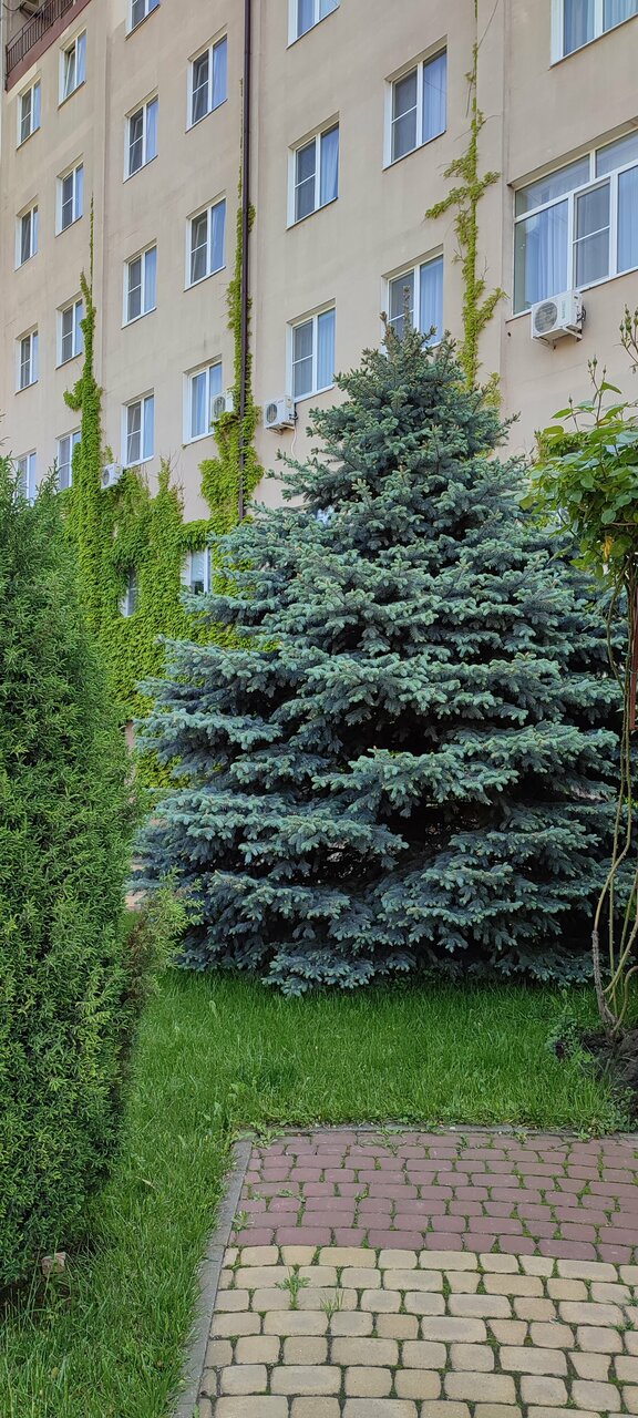 Гостиница Надежда Ростов-на-Дону-124