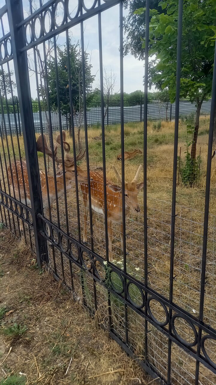 Гостиница Надежда Ростов-на-Дону-147