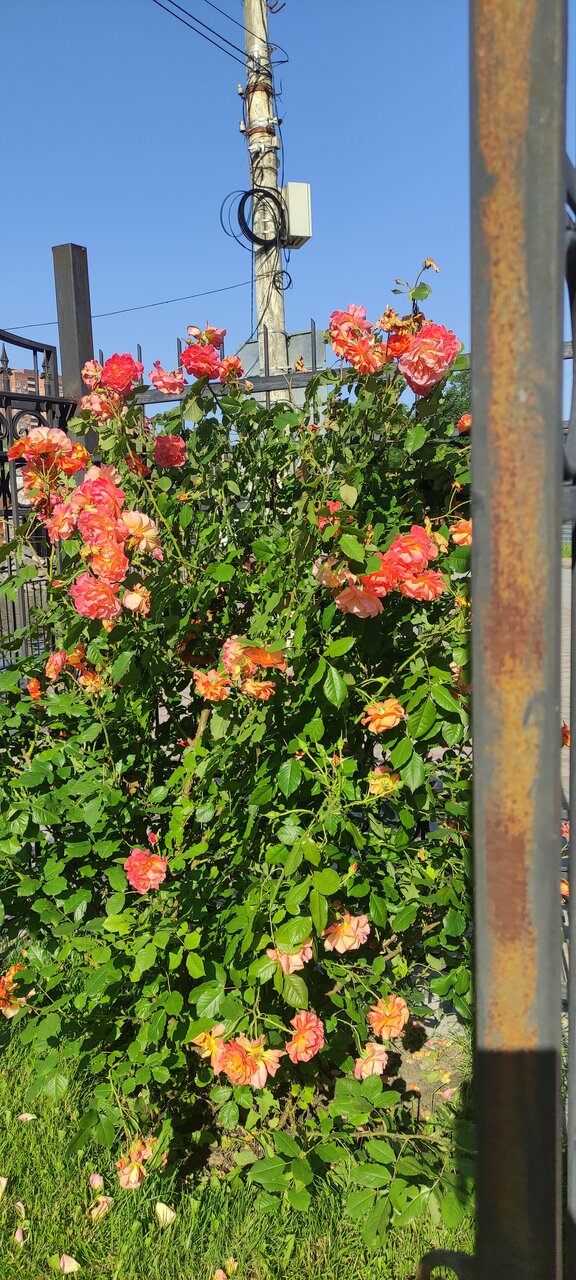 Гостиница Надежда Ростов-на-Дону-250