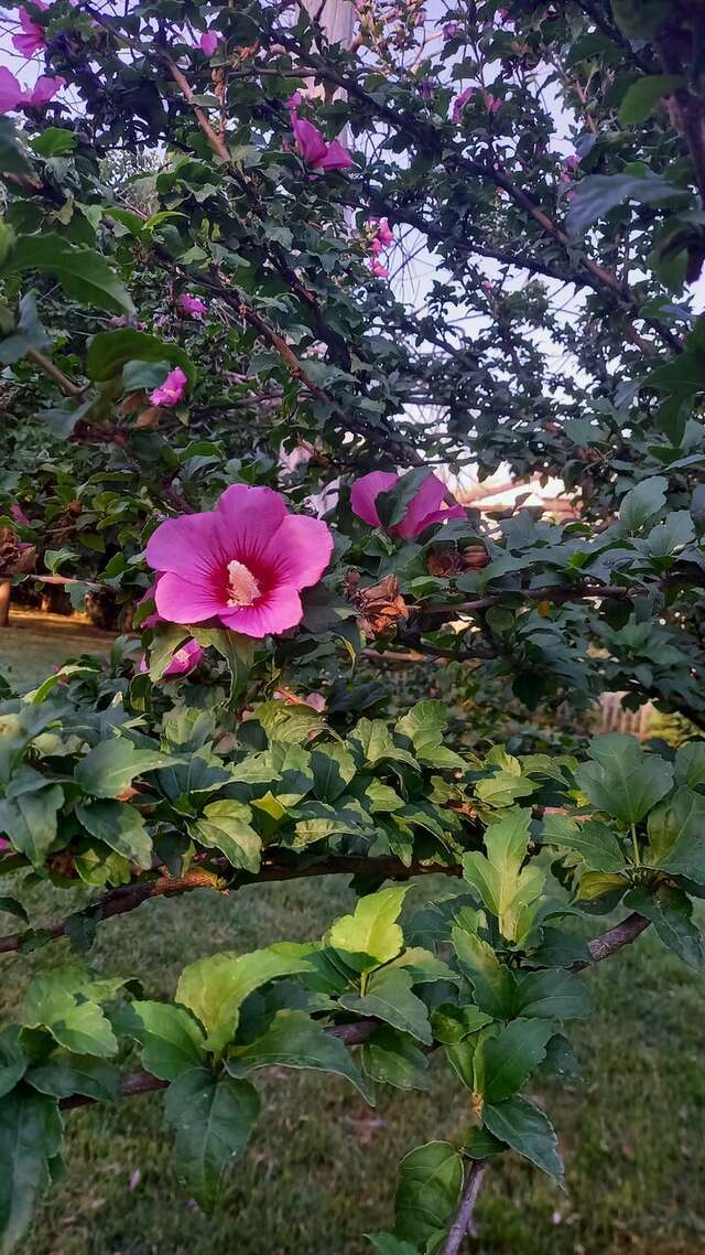 Гостиница Надежда Ростов-на-Дону-129