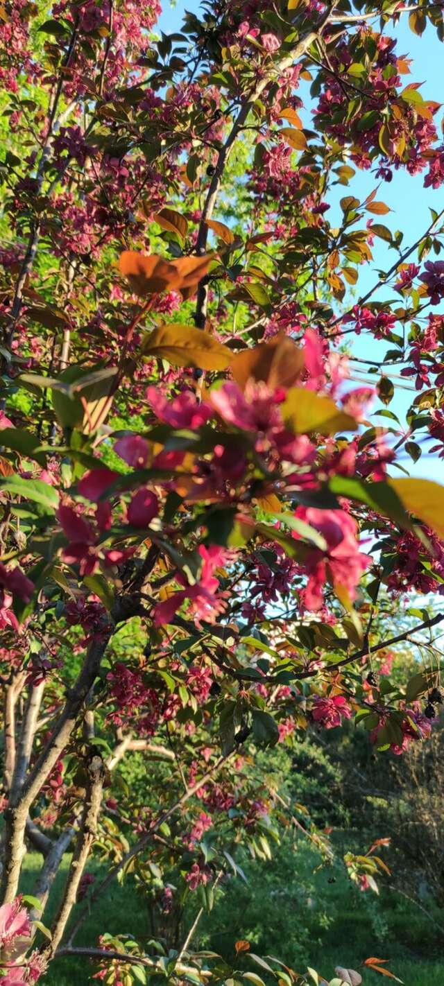 Гостиница Надежда Ростов-на-Дону-179