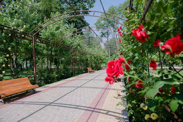 Гостиница Надежда Ростов-на-Дону-25