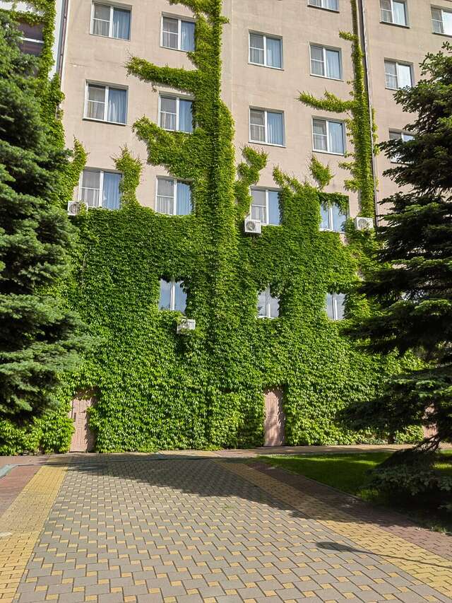 Гостиница Надежда Ростов-на-Дону-169