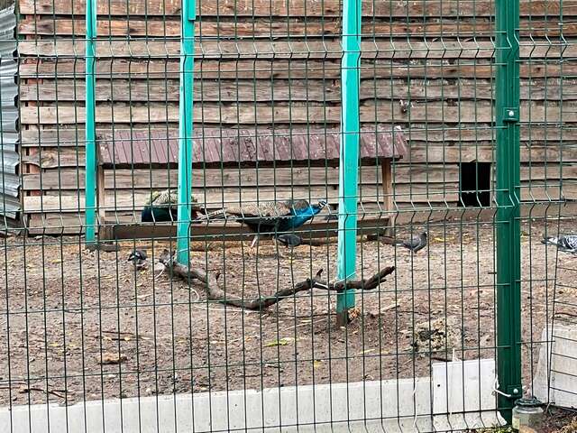 Гостиница Надежда Ростов-на-Дону-215