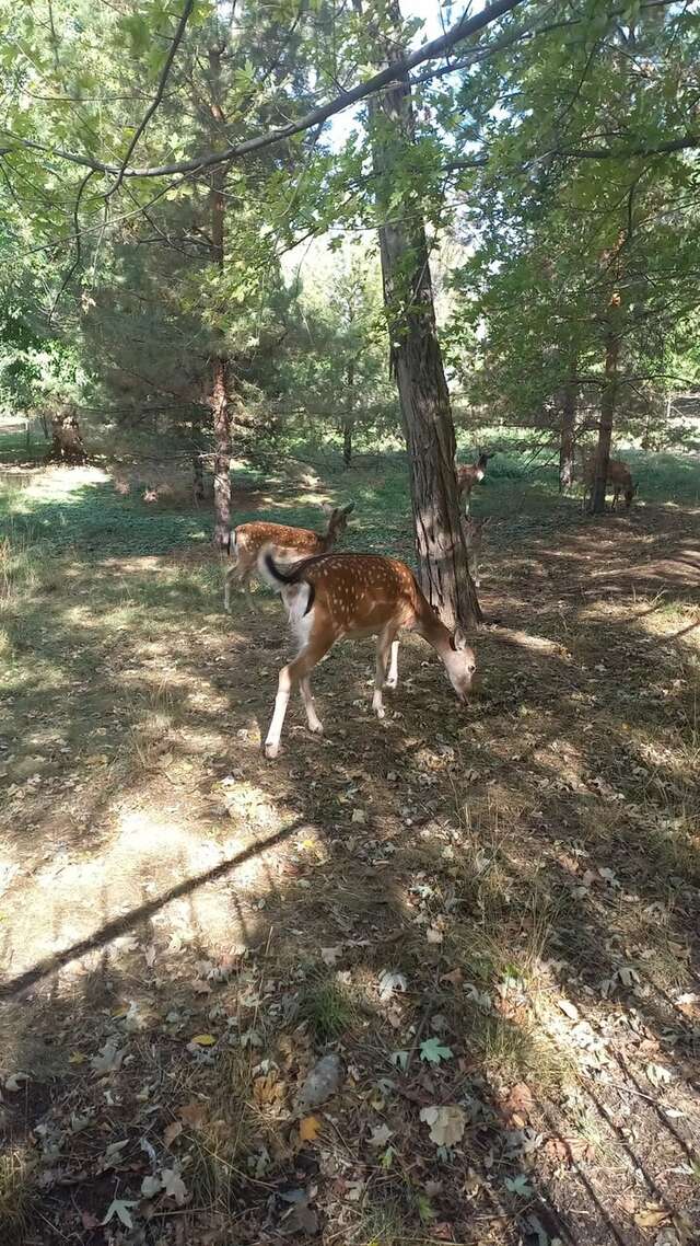 Гостиница Надежда Ростов-на-Дону-166