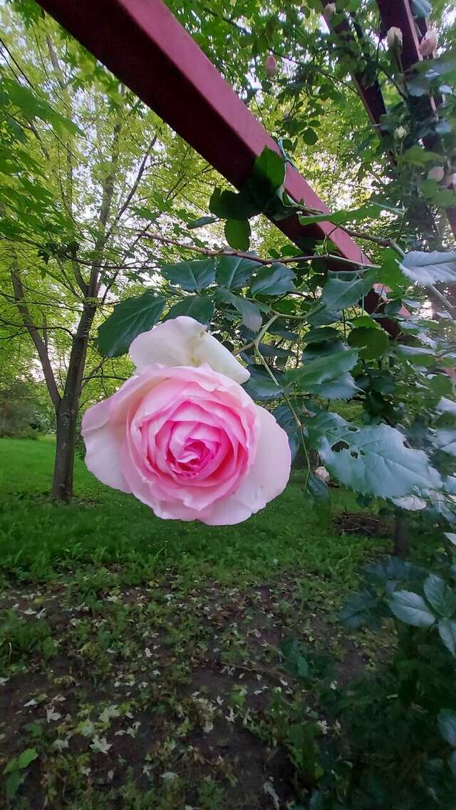 Гостиница Надежда Ростов-на-Дону-218