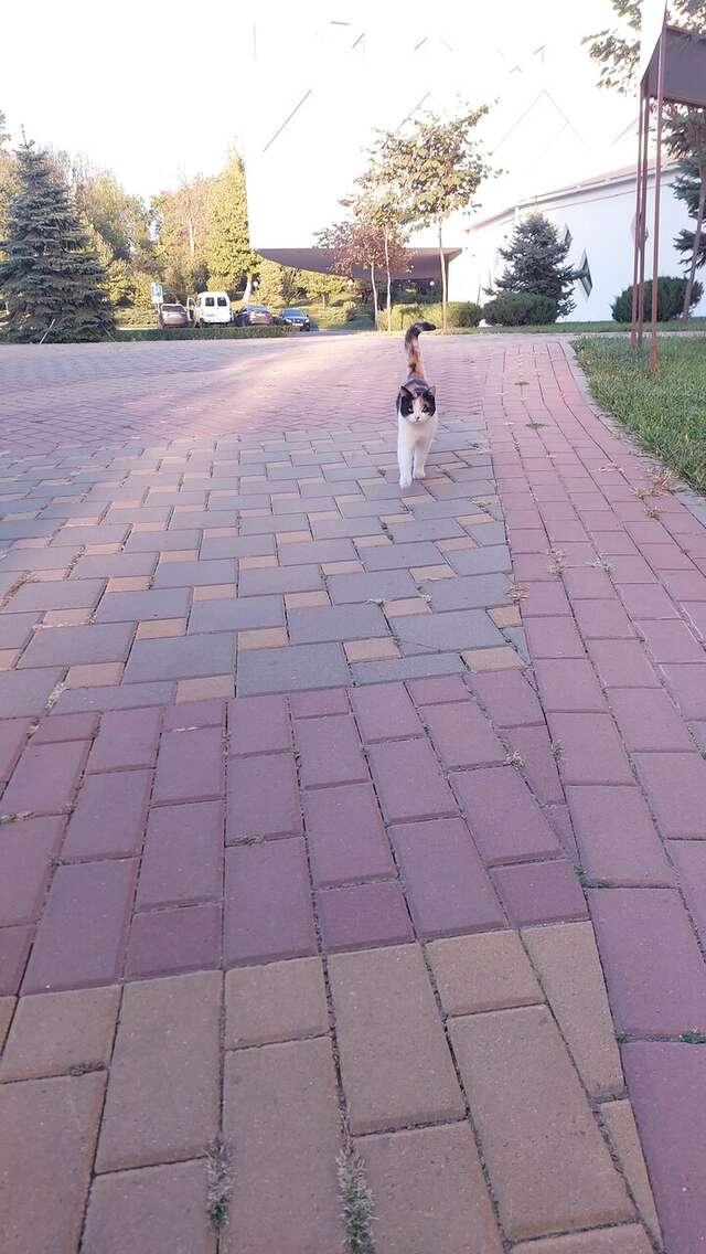 Гостиница Надежда Ростов-на-Дону-240