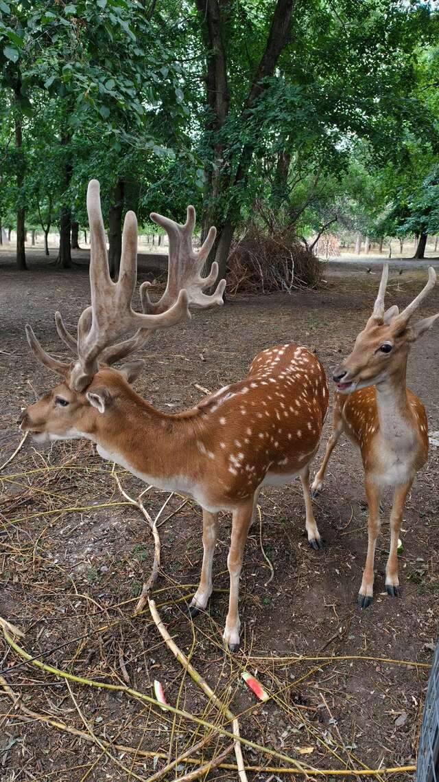 Гостиница Надежда Ростов-на-Дону-121