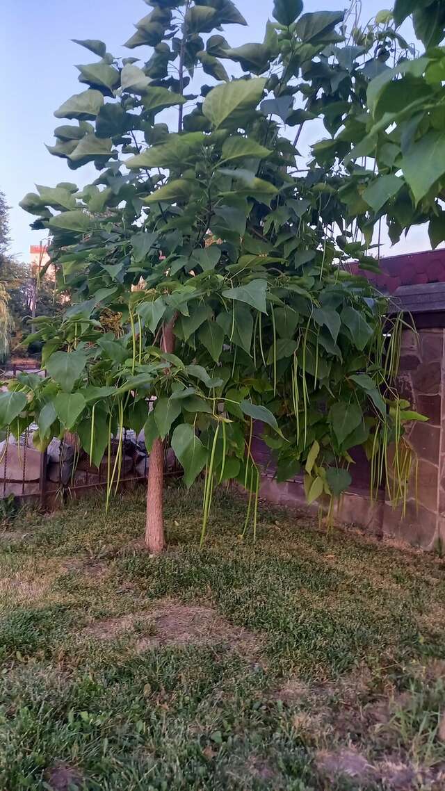 Гостиница Надежда Ростов-на-Дону-190