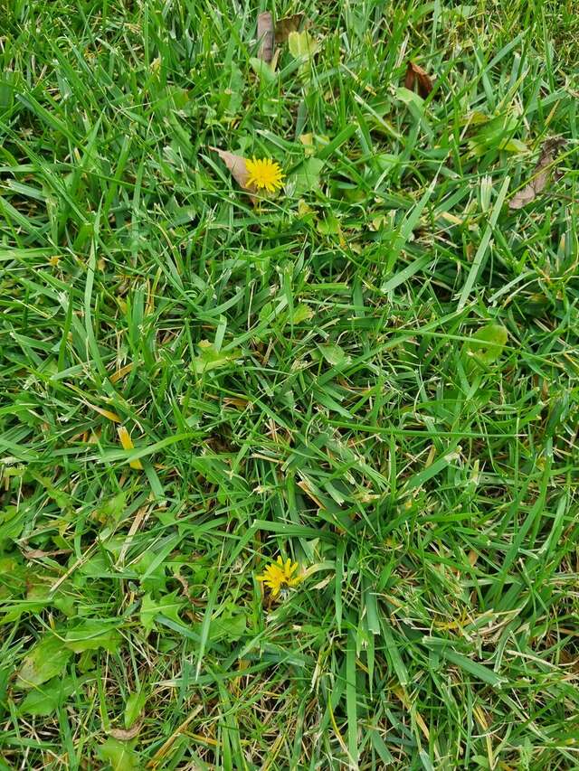 Гостиница Надежда Ростов-на-Дону-234