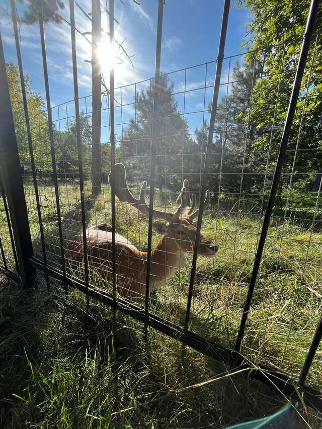 Гостиница Надежда Ростов-на-Дону-206