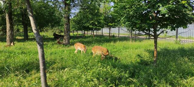Гостиница Надежда Ростов-на-Дону-219