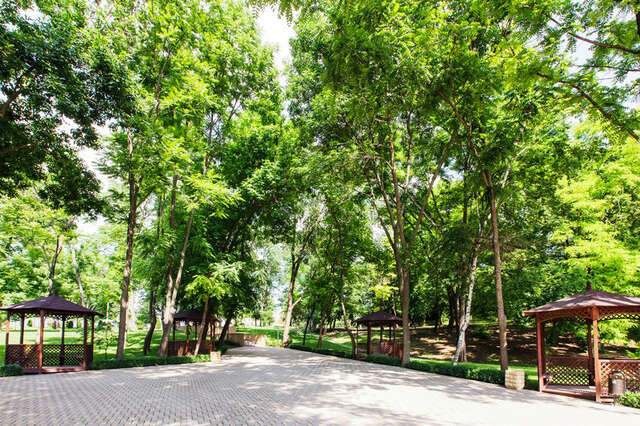 Гостиница Надежда Ростов-на-Дону-26