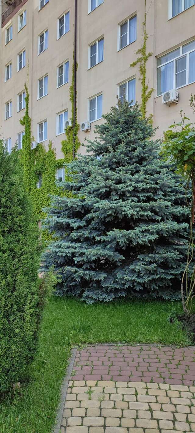 Гостиница Надежда Ростов-на-Дону-123