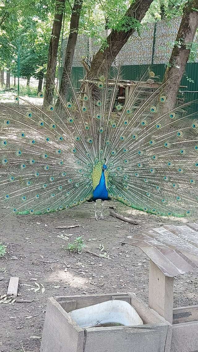 Гостиница Надежда Ростов-на-Дону-158