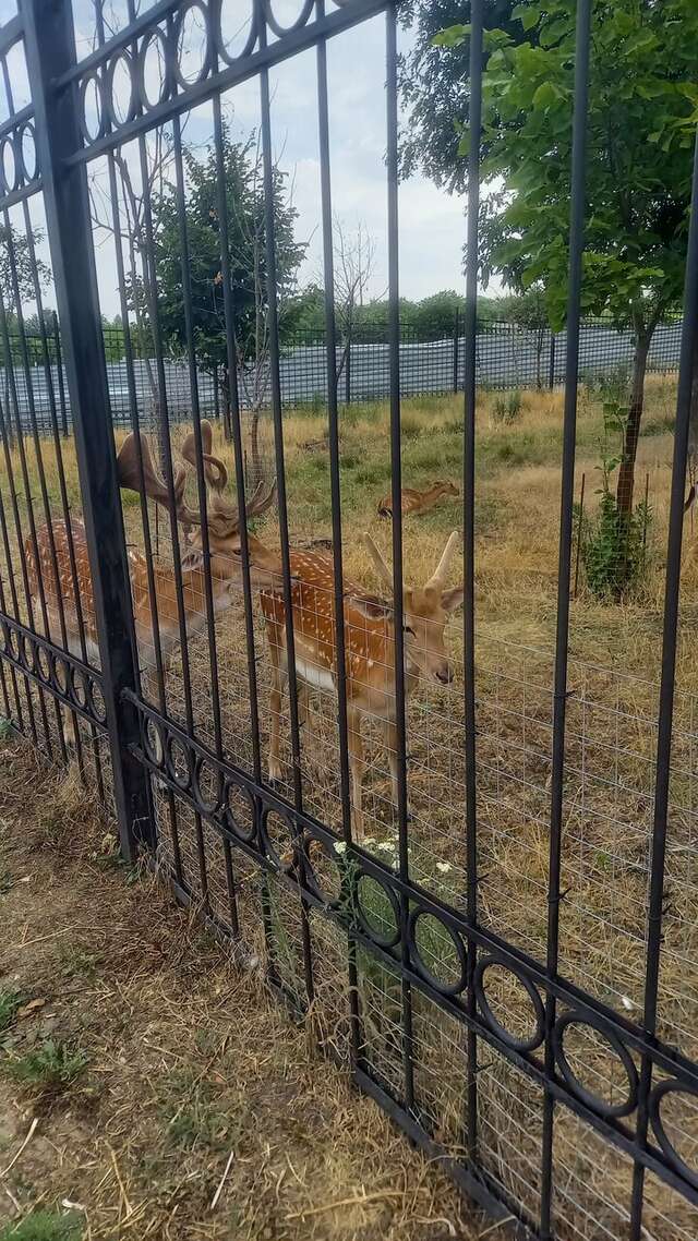 Гостиница Надежда Ростов-на-Дону-146